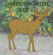 Gardening with Deer